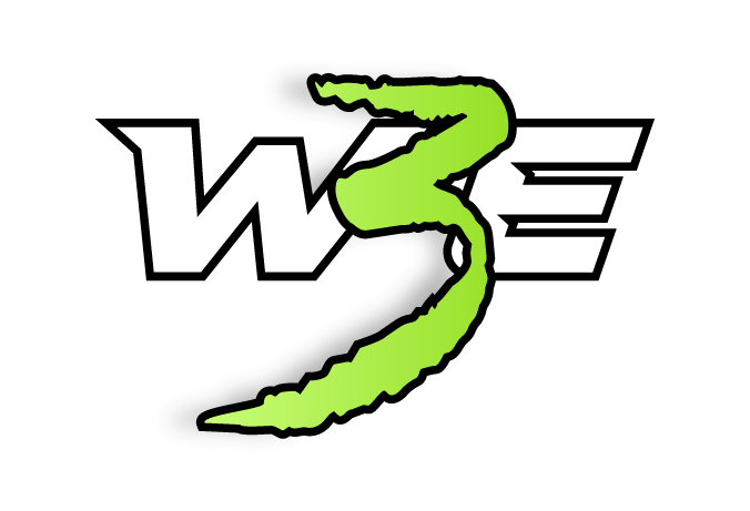W3E Gaming